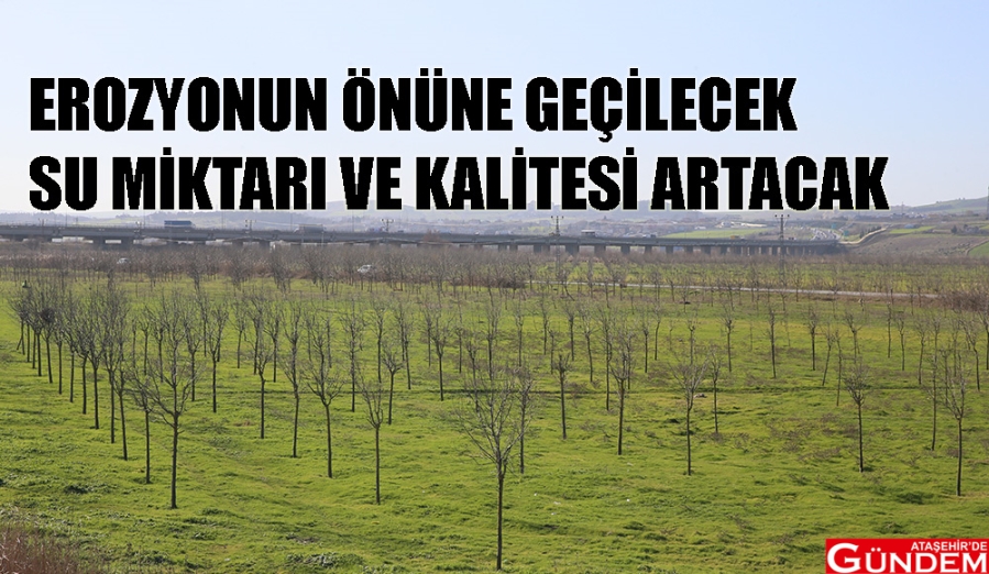 İSKİ'DEN SU HAVZALARINA 120 BİN AĞAÇ 120 BİN AĞAÇ İSKİ DİKİLECEK ATAŞEHİR DE GÜNDEM